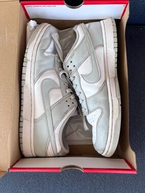 Nike Dunk Low Retro size 12